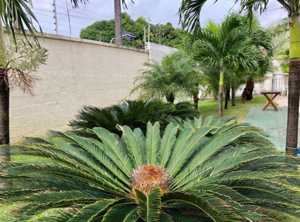 Apt2 Piscina Netflix Wifi Ar Cond Prox A 2 Shoppigns Fortaleza  Bagian luar foto